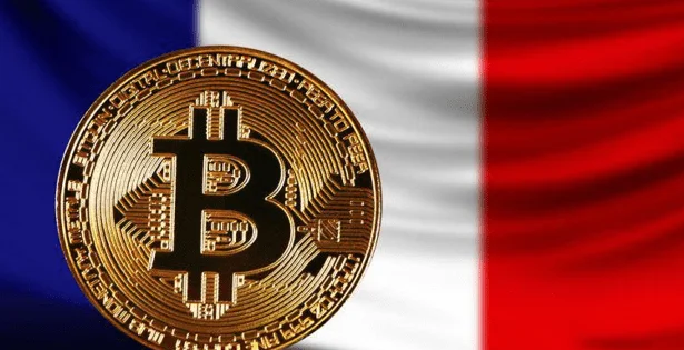 Cryptocurrencies have become the second most popular asset category for investment among French citizens. 